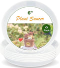 LWALRS Plant Saucer Tray 6 inch, 6 Pack Plastic Plant Saucers for Indoors Outdoor, Heavy Duty Drainage Drip Water Trays for Planter Pots Flower, Saucers for Potted Plants (6", Clear)