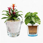 InmeRun Plant Pots Indoor Plastic Flower Pots Outdoor 5 inch Set of 6 Pack with Drainage Holes and Saucers for Garden Pots (self Watering 5in-6p)