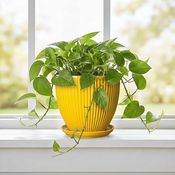 6 Inch Plant Pot, Ceramic Planter with Drainage Hole and Saucer, Decorative Small Plant Pots for Indoor Plants, Modern Round Flower Pot, Home Office Room Decor, House Warming Gifts, Yellow