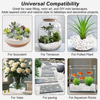 Fish Tank Rocks,Landscaping Pebbles,Decorative Ornamental Pebbles Garden,Landscaping Stones Gravel Filler for Home Decoration Flower Bed Fish Tank Plants Vases Succulents (5 Pounds, White)