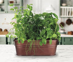 BUZZY Organic Windowsill Grow Kit – Copper Culinary Garden with Basil, Cilantro, and Chives, Grow Fresh Herbs Indoors, DIY Herb Starter Kit and Seed Kit, Unique Gardening Gift for Home and Parties