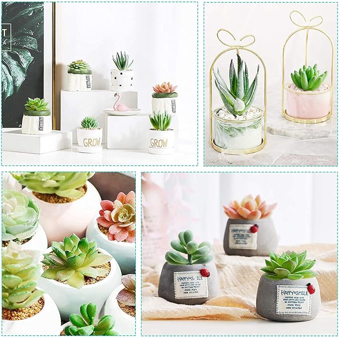 HappyHapi 12 Pcs Artificial Succulents Mini Fake Plants Unpotted Faux Succulent for Craft, Small Plastic Succulents Assortment in Flocked Green Floral Decor for Party, Cake, Garden & Outdoor