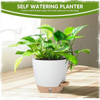Self-Watering Pots for Indoor Plants with Visible Water Window,5/6/6.5/8/10 Inch Outdoor Flower Pots with Drainage Holes & Reservoir for Patio, Home Decor (White)