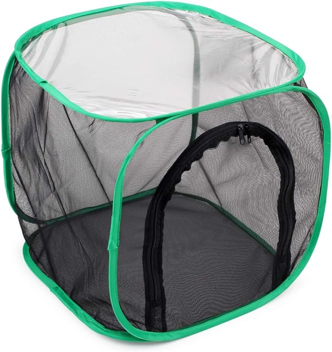 RESTCLOUD Insect and Butterfly Habitat Cage Terrarium Pop-up 12 X 12 X 12 Inches