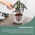 4 Inch Self Watering Pot,African Violet Pot,Bottom Watering Glass Planter for Indoor Plants and Progagation