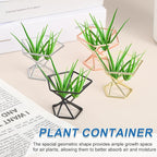 uxcell 6Pcs Air Plant Holder, Makeup Sponge Drying Holder Rack, Tabletop Air Fern Display Stand, Makeup Beauty Egg Dry Stand for Dressing Table Home Decoration, Gold (56x56x42mm)