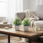 CEWOR Fake Plants 4 Packs Small Artificial Greenery Mini White Potted Plants Bathroom Accessories Decorations for Desk Bathroom Office Home Room Kitchen Table Indoor