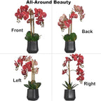 Orchids Artificial Plant in Ceramic Pot 18.5" Faux Orchid Phalaenopsis Flowers Arrangement for Home Office Table Centerpiece Indoor Decor, Red