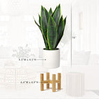 Briful Fake Snake Plant 16" Faux Potted Plant Artificial Snake Plant with White Ceramic Pot Sansevieria Plant Perfect for House Modern Living Room Office Housewarming Gift Indoor Decor