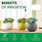 Plant Watering Globes Set of 6 - Small Glass Self Watering Bulbs Up to 5 Days of Irrigation - for Indoor & Outdoor Plants - Multicolor, Automatic, Glass Watering Bulbs for Daily Use, Watering Devices