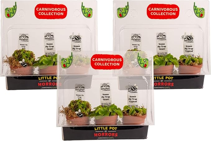 Costa Farms Live Carnivorous Plant Collection, Venus Flytrap (9-Pack), Natural Indoor Pest Control, Exotic Predator Plants, Unique Home Decor