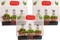 Costa Farms Live Carnivorous Plant Collection, Venus Flytrap (9-Pack), Natural Indoor Pest Control, Exotic Predator Plants, Unique Home Decor
