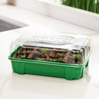 Back to the Roots 12-Cell Greenhouse Germination Kit | Seed Starting Tray with Pots & Vented Lid for Indoor Gardening