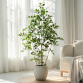 Bailikang Artificial Ficus Tree Indoor 5ft, Large Potted Faux Tree with Realistic Silk Leaves & Trunk for Home Office, Living Room Corner Decor
