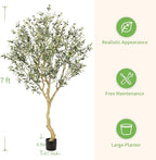 Realead 7FT Olive Trees Artificial Indoor - Tall Faux Olive Tree 7 Feet with Realistic Leaves and Natural Wood Trunk - Potted Fake Olive Tree for Modern Home Office Living Room Floor Decor Indoor