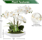 Briful Orchids Artificial Flowers 15" Large Fake Orchid White Phalaenopsis Orchid Flower Arrangements with Vase Faux Orchid for Home Living Room Table Centerpiece Office Table Decor