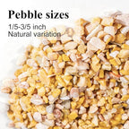 Natural Pea Gravel Pebbles for Plants, Fish Tank Gravel, Small Rocks for Outdoor Landscaping, Terrarium, Fish Tank, Home Decoration (10 Pounds, 1/5-3/5 inch, Yellow)