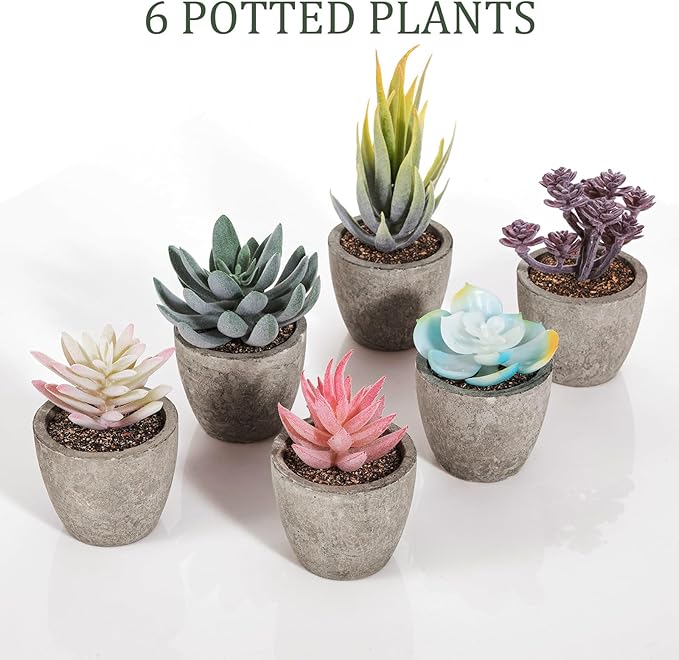 Set of 6 Artificial Succulents Potted - Realistic Mini Fake Cactus Plants in Paper Pulp Pots, 2-4'' Mixed Sizes for Farmhouse Shelf, Bathroom, Coatrack Shelf, Bedroom Indoor(Vivid Style)