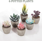 Set of 6 Artificial Succulents Potted - Realistic Mini Fake Cactus Plants in Paper Pulp Pots, 2-4'' Mixed Sizes for Farmhouse Shelf, Bathroom, Coatrack Shelf, Bedroom Indoor(Vivid Style)