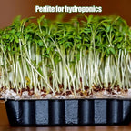 Horticultural Perlite for Plants 4qt, All Natural Horticultural Soil Additive Conditioner Mix, Improve Ventilation and Drainage, Enhance Soil Health and Root Growth