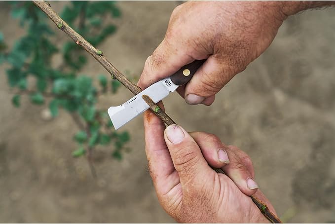 FELCO Budding And Grafting Knife