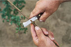 FELCO Budding And Grafting Knife