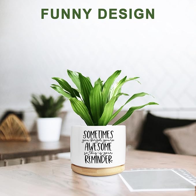 Cute Succulent Planter, Flower Cactus Plant Pot Gifts, Thank You Inspirational Gifts for Women Men Coworkers Teachers Plant Lovers, Office Home Windowsill Indoor Decor (No Plants)
