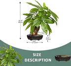 16 Inch Fake Money Tree, Artificial Bonsai Money Tree for Good Luck Fortune, Small Faux Potted Plant for Home Office Desk Living Room Bedroom Decor