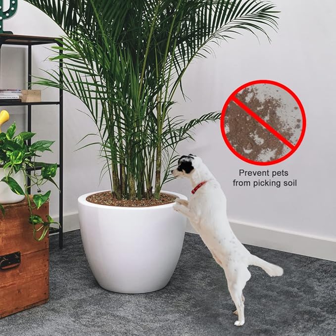 2Pack Plant Pot Grid, Cuttable Flower Pot Soil Cover Protectors with Deep Stakes, Dogs, Cats Digging Stopper, Plant Grid Pot Cover, 19cm/7.5in Diameter