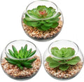 Briful Mini Fake Plants 3 Packs Artificial Succulents Plants in Round Glass Vase Cute Faux Succulents for Bathroom Kitchens Shelf Table Decor