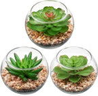 Briful Mini Fake Plants 3 Packs Artificial Succulents Plants in Round Glass Vase Cute Faux Succulents for Bathroom Kitchens Shelf Table Decor