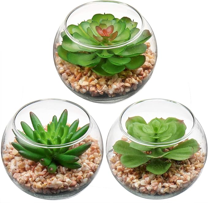 Briful Mini Fake Plants 3 Packs Artificial Succulents Plants in Round Glass Vase Cute Faux Succulents for Bathroom Kitchens Shelf Table Decor