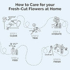 FloraLife Quick Dip - Instant Hydrating Treatment Solution for Preserving Fresh-Cut Flowers - 8oz