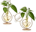 Plant Terrarium Plants Propagation Station Cat Lover Gifts for Women Home Office Decor Cat Desk Accessories