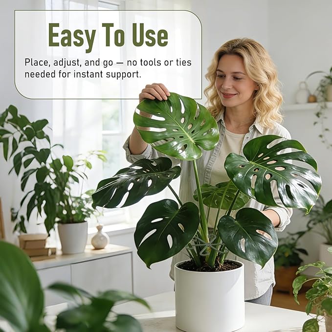 24PCS Forest Green Plant Stem Support, Invisible Stem Supports for Indoor Plants, Monstera Plant Support for Healthy Growth, 4 Sizes Climbing Houseplant Holders, Reusable Plant Accessories
