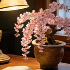 Weeping Prunus Blossoms Seeds for Planting, 46+ Rare Prunus Subhirtella Pendula Seeds, Non-GMO Heirloom Plants Seed for Home Garden Outdoor