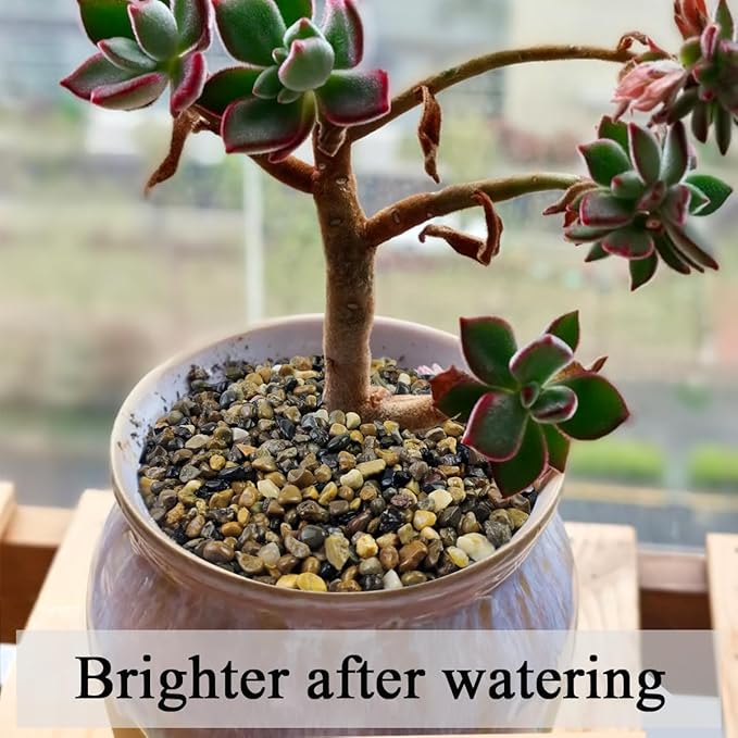 FANTIAN 10 lbs Pea Gravel for Landscaping,1/4 Inch Aquarium Gravel. Decorative River Rocks for Fish Tank Succulent Vase Cactus Bonsai Plant Soil Cover and Outdoor Landscaping Rocks