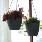 SwinDuck 10 Inch Self Watering Hanging Pots, 2 Pack Hanging Planters with 40oZ Deep Reservior for Indoor Outdoor Plants Flowers, Grey