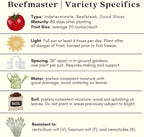 Clovers Garden Beefsteak Tomato Plants –Two (2) Live Plants – Non GMO - Not Seeds - Each 4" to 8" Tall – in 4" Inch Pots - Large Fruit, Crack-Resistant