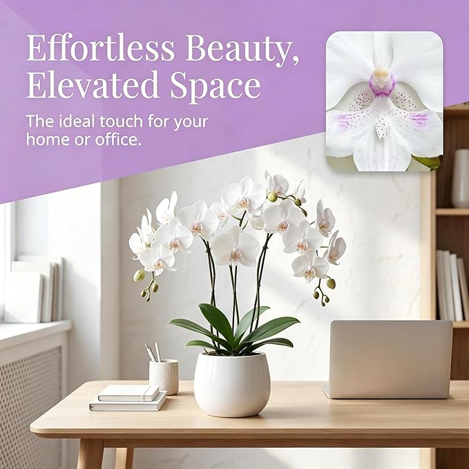5 Pack Real Touch Artificial Orchids - Silk Flowers for Home Decor, Zero Maintenance Fake Flowers for Vase, Living Room, Office, Bedroom Decoration, Realistic Indoor Artificial Plants