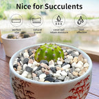 FANTIAN 5 lbs Succulent and Cactus Pebbles for Indoor Plants, 3/8 Inch Pea Gravel Decorative River Rocks for Plants, Vases, Terrarium, Aquarium, Potted Top Dressing and Outdoor Landscaping Stones