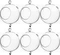 WGV Hanging Terrarium Globe, Width 5", Height 7", Double Hook, DIY Air Succulent Planter, Clear Glass Vase Orb, Candle Holder for Windowsill Outdoor Garden Decor, 6 Pieces Bulk
