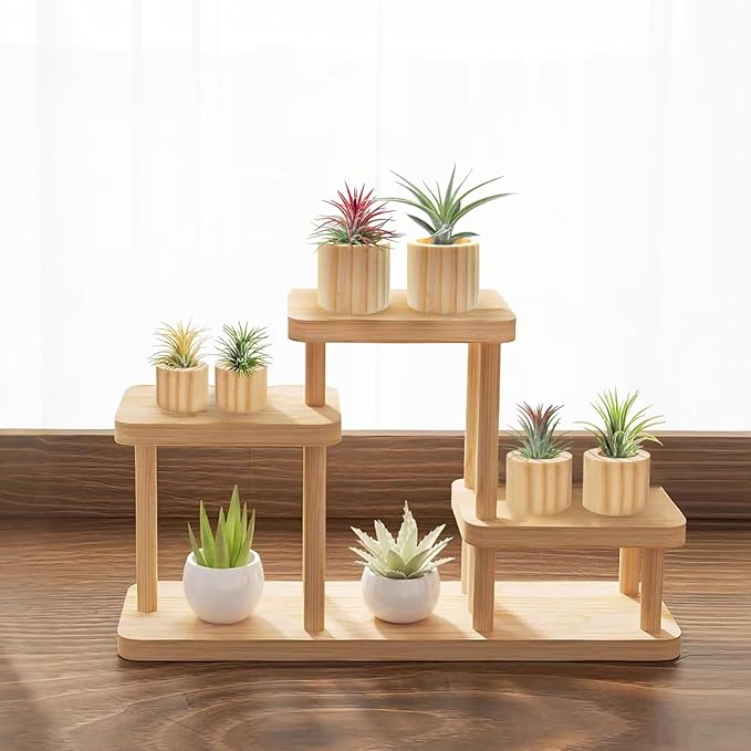 Belit 6 Pcs Air Plant Holder, 3 Sizes Wooden Air Plants Live Holders for Home Decor (NO Plant Included)