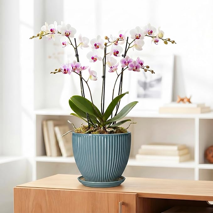 Ceramic Planter, 8 Inch Plant Pot Indoor with Drainage Hole and Saucer, Decorative Planters for Indoor Plants, Modern Flower Pots, Round Planter, Room Decor, Gifts for Plant Lovers, Glaze Blue