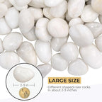 20lbs Large River Rocks, White Pebbles for Plants 2-3 Inch, High Polished Natural Decorative Stones for Aquarium Vase Filler Fish Tank Landscaping Garden
