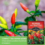 Thai Chili Pepper Seeds for Planting | Bird’s Eye Hot Peppers – Heirloom Non-GMO Hot Chilis for Spicy Cooking & Container Gardens – Survival Garden Seeds (1 Pack)