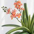 Set of 3pcs Real Touch Artificial Cymbidium Plants with Stems and Roots and 2pcs Orchid Flowers for Pot or Vase, Faux Orchid Stems That Look Real for Indoor Home Office Decor (Grn and YEL)