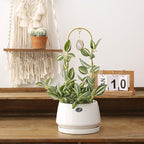 2PCS Small Plant Gold Trellis Indoor, Mini Metal Houseplant Decor Support for Potted Ivy Vine, Boho Garden Decorative Pot Climber with Agate for Climbing Hoya Pothos Philodendron Gift