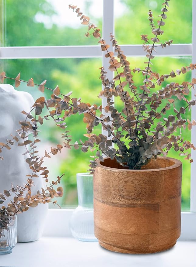 Serene Spaces Living Set of 6 Medium Mango Wood Cachepot, Natural Wooden Pot for Faux Flowers & Plants, Potted Indoor Plants, Home, Office, Restaurant Decor, Measures 6.5" Diameter & 6" Tall