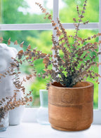 Serene Spaces Living Medium Mango Wood Cachepot – Natural Wooden Pot for Faux Flowers & Indoor Plants – Decorative Plant Holder for Home, Office, and Restaurant Decor – 6.5" Diameter & 6" Tall